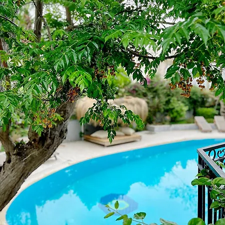 Vilă Sophia Marmaris